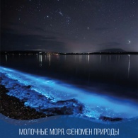 Молочные моря. Феномен природы